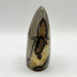 Septarian Freeform Polished Madagascar Crystal 3