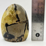 Septarian Freeform Polished Madagascar Crystal 3