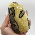 Natural Septarian Freeform Polished Crystal from Madagascar 4