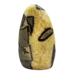 Natural Septarian Freeform Polished Crystal from Madagascar 4