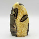 Natural Septarian Freeform Polished Crystal from Madagascar 4