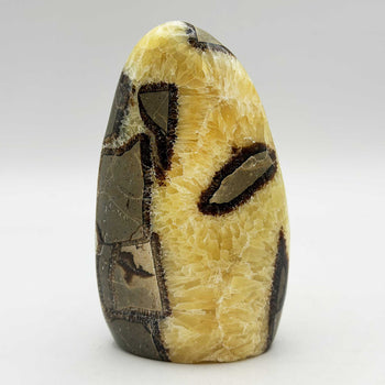 Septarian Crystal Freeform - Gem Avenue Retail