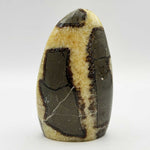 Natural Septarian Freeform Polished Crystal from Madagascar 4