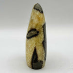 Natural Septarian Freeform Polished Crystal from Madagascar 4