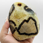 Natural Septarian Freeform Polished Crystal from Madagascar 3.75