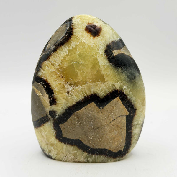 Septarian Crystal Freeform - Gem Avenue Retail