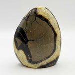 Natural Septarian Freeform Polished Crystal from Madagascar 3.75