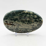 Natural Polished Sea Jasper Crystal Freeform 3.5