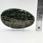 Natural Polished Sea Jasper Crystal Freeform 3.5