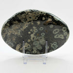 Natural Sea Jasper Freeform Crystal 5