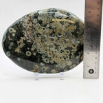Natural Sea Jasper Freeform Crystal 5