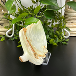 Natural Green Onyx Leaf Plate Hand-Carved Decorative Stone Dish for Home, Kitchen & Gift Use  RSH298