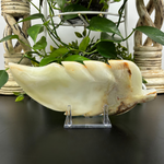 Natural Green Onyx Leaf Plate Hand-Carved Decorative Stone Dish for Home, Kitchen & Gift Use  RSH298