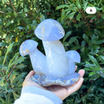 Blue Chalcedony Gemstone Mushroom - RSH320