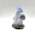 Blue Chalcedony Gemstone Mushroom - RSH320