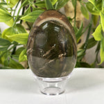 Smoky Quartz Gemstone Egg - RSH340