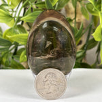 Smoky Quartz Gemstone Egg - RSH340