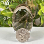 Smoky Quartz Gemstone Egg - RSH341