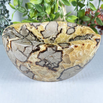 Septarian Crystal Gemstone Bowl - Gem Avenue Retail