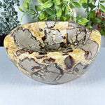 Septarian Gemstone Bowl - RSH349