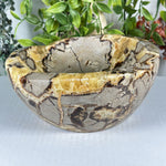Septarian Gemstone Bowl - RSH349