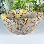 Septarian Gemstone Bowl - RSH349