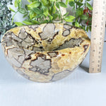 Septarian Gemstone Bowl - RSH349