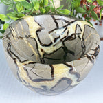 Septarian Gemstone Bowl - RSH350