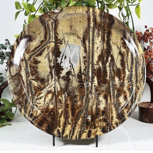 Picture Jasper Gemstone Plate - Gem Avenue Wholesale