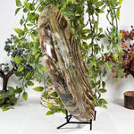 Picture Jasper Gemstone Plate - RSH351