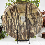 Picture Jasper Gemstone Plate - RSH351