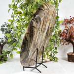 Picture Jasper Gemstone Plate - RSH351