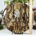 Picture Jasper Gemstone Plate - RSH351