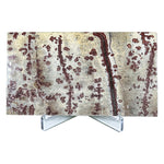 Picture Jasper Slab - RSL098