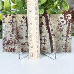 Picture Jasper Slab - RSL098