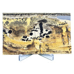 Picture Jasper Slab - RSL099