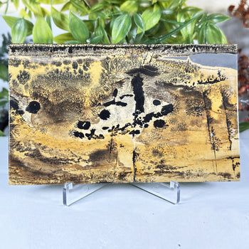Natural Polished Picture Jasper Slab - Gem Avenue Retail