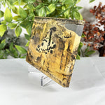Picture Jasper Slab - RSL099