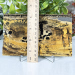 Picture Jasper Slab - RSL099