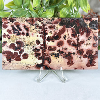 Natural Polished Picture Jasper Slab - Gem Avenue Retail