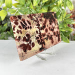 Picture Jasper Slab - RSL100