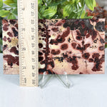 Picture Jasper Slab - RSL100