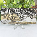 Natural Picture Jasper Polished Slab Scenic Landscape Stone for Display, Healing & Collectors - RSL101