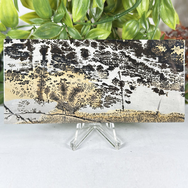 Natural Polished Picture Jasper Slab - Gem Avenue Wholesale