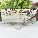 Natural Picture Jasper Polished Slab Scenic Landscape Stone for Display, Healing & Collectors - RSL101