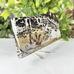 Natural Picture Jasper Polished Slab Scenic Landscape Stone for Display, Healing & Collectors - RSL101