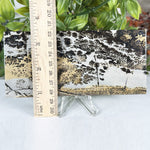 Natural Picture Jasper Polished Slab Scenic Landscape Stone for Display, Healing & Collectors - RSL101