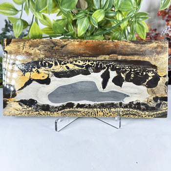 Natural Polished Picture Jasper Slab - Gem Avenue Wholesale