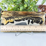Polished Picture Jasper Landscape Slab Natural Scenic Pattern Stone - RSL102