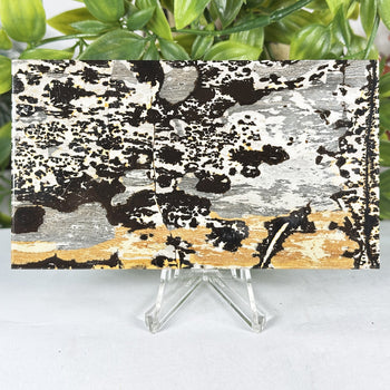 Natural Picture Jasper Slab - Gem Avenue Retail